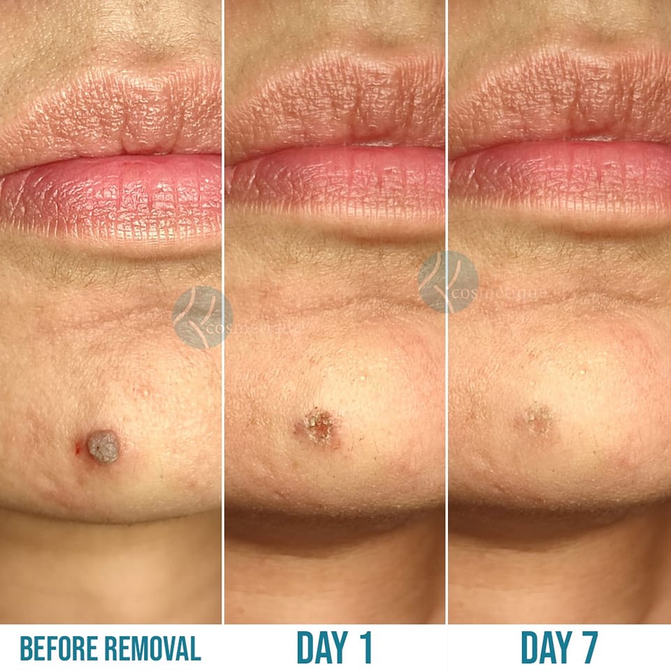 278249768_10166479909115441_4291825769642854353_n